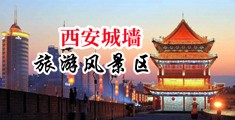 两个人看Wwv免费在线观看中国陕西-西安城墙旅游风景区
